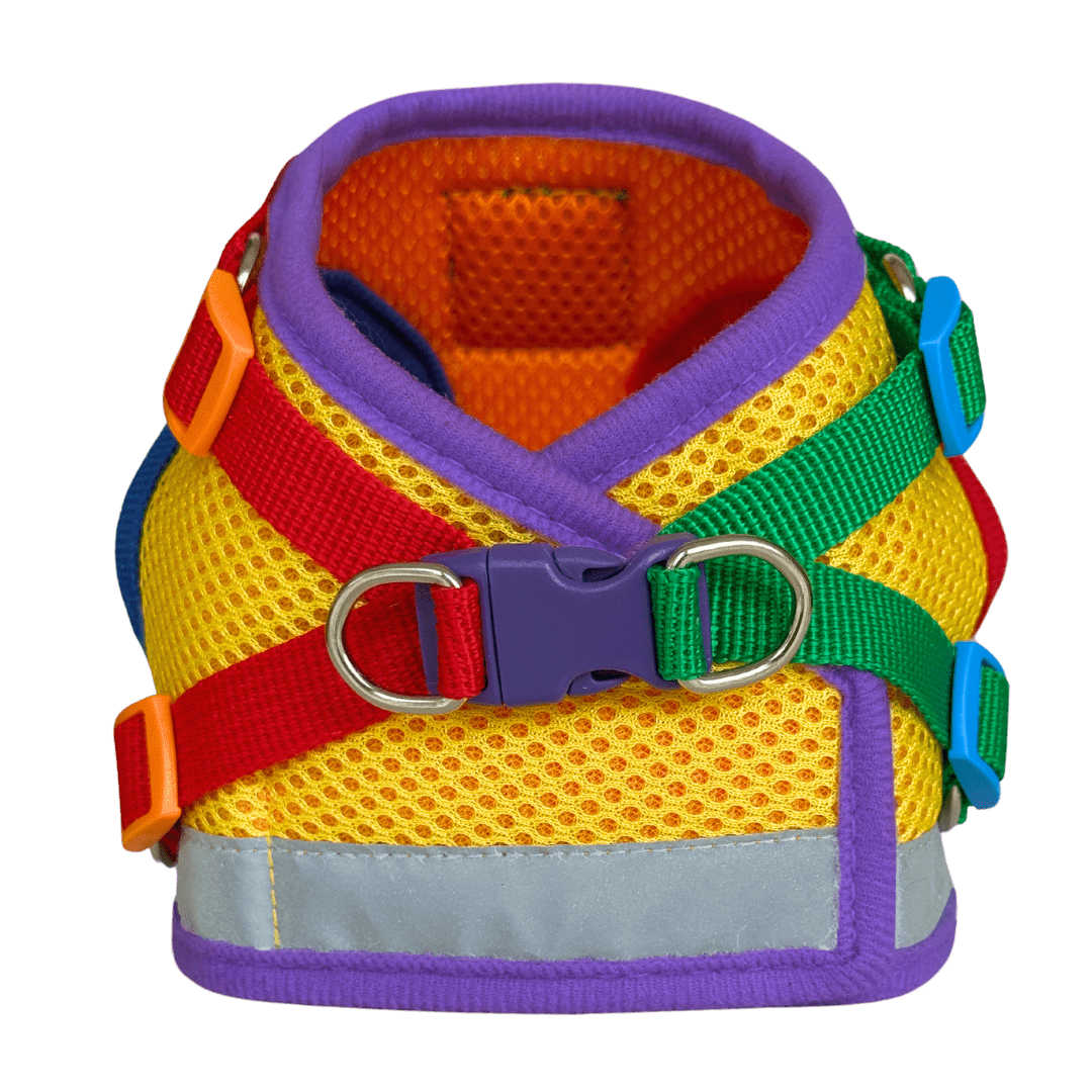 10_7da9ddee-d82d-4d22-98ab-aa4cae990ecc.png