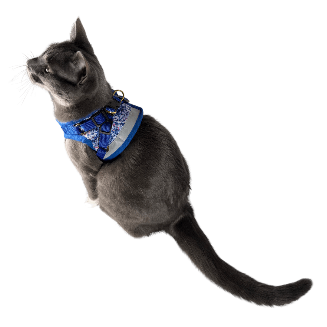 13_16f8914d-0565-4ff3-83c3-c704ca562bff.png