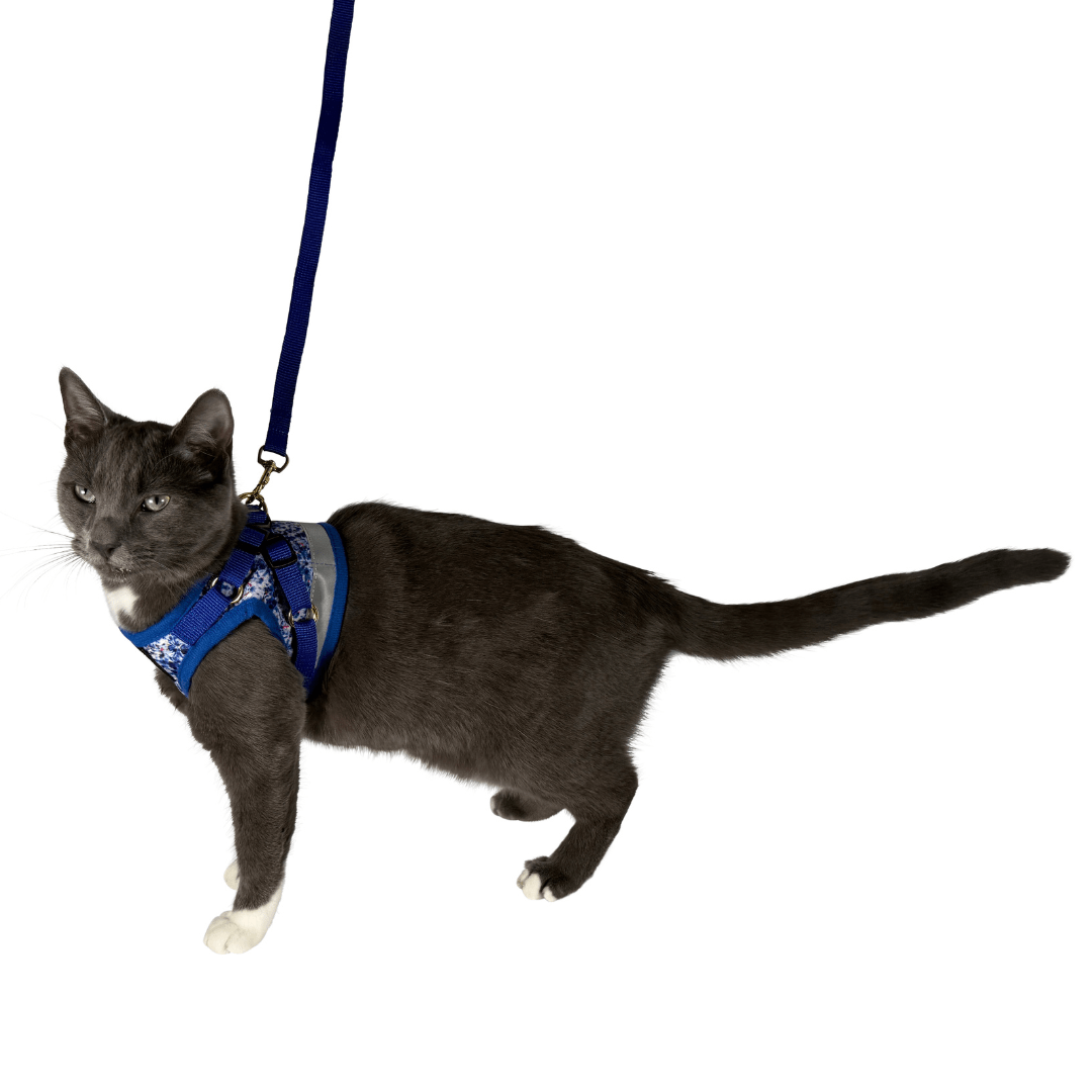 14_29757cf9-33f5-488a-bfcc-52eb7e5dbbaa.png