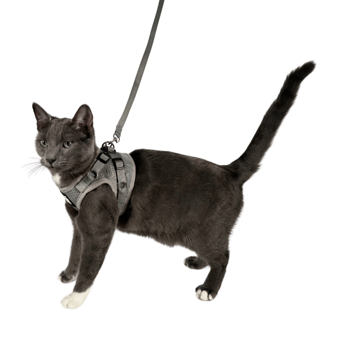 19_6876bbf9-87b7-411e-af34-1c2078a08aae.png