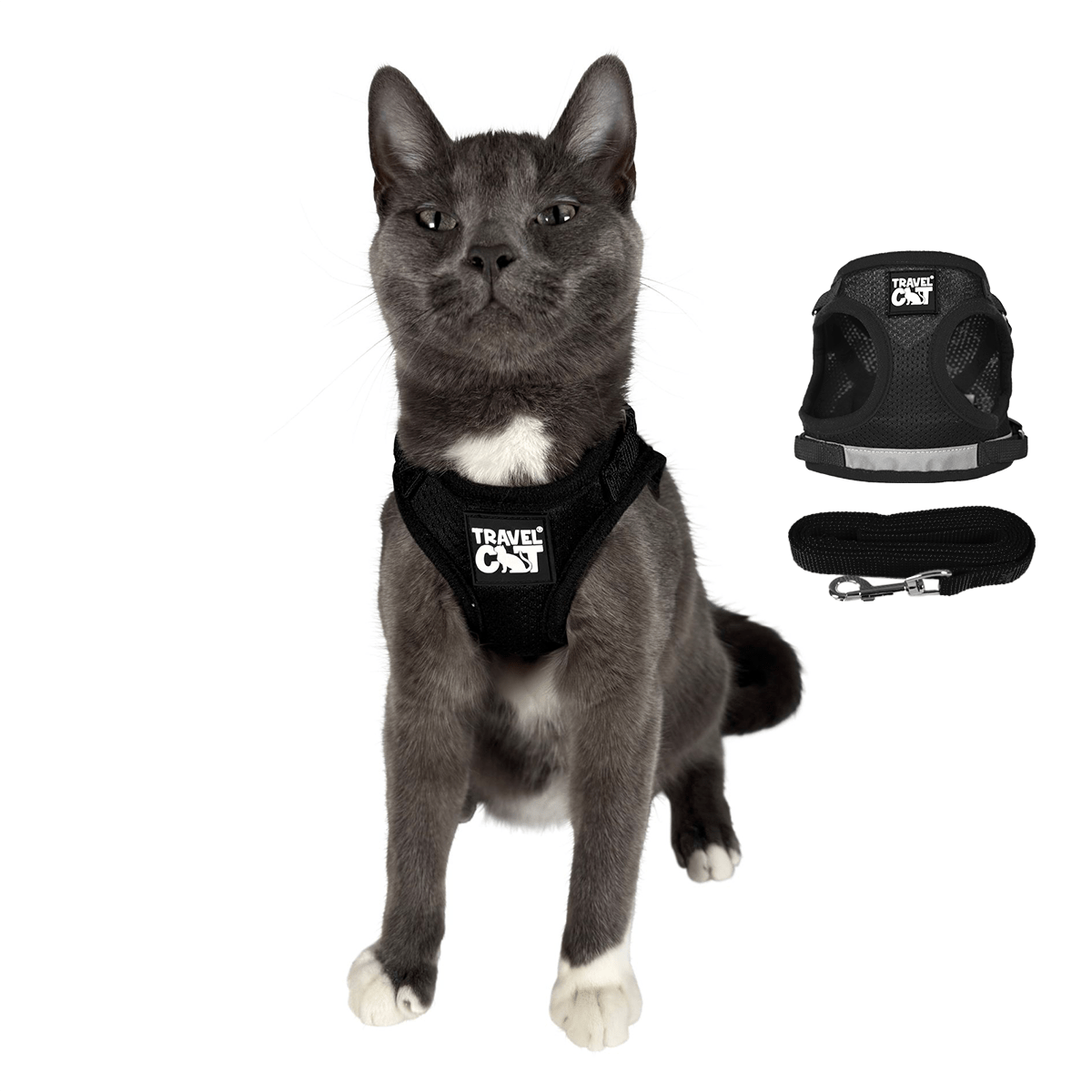 1_BLACK_MAIN_9635be70-a72b-461c-9207-43adac8e2b5b.png