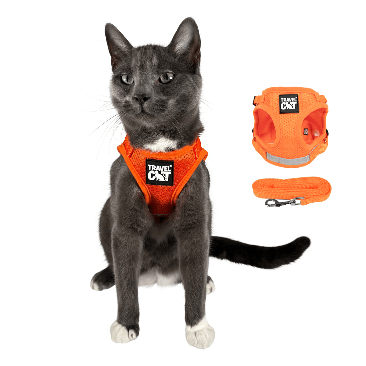 1_ORANGE_MAIN_7d55636e-bb4b-4527-8a8d-23c0a98ed0ad.png