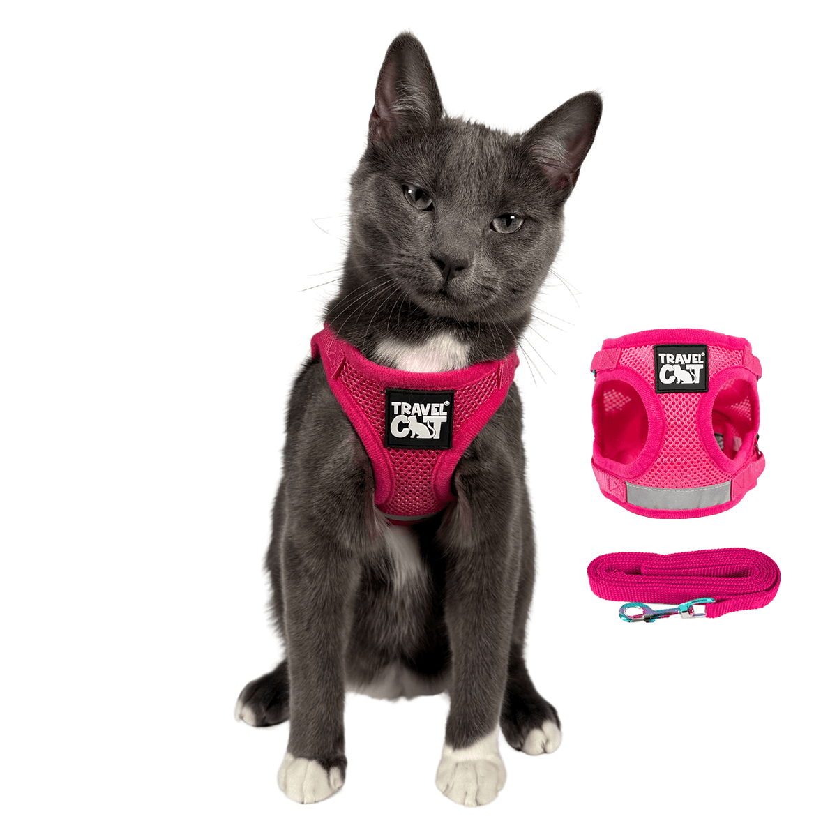 1_PINK_MAIN_7cb7c0ac-bff9-4924-9716-78ff84a2f98d.png
