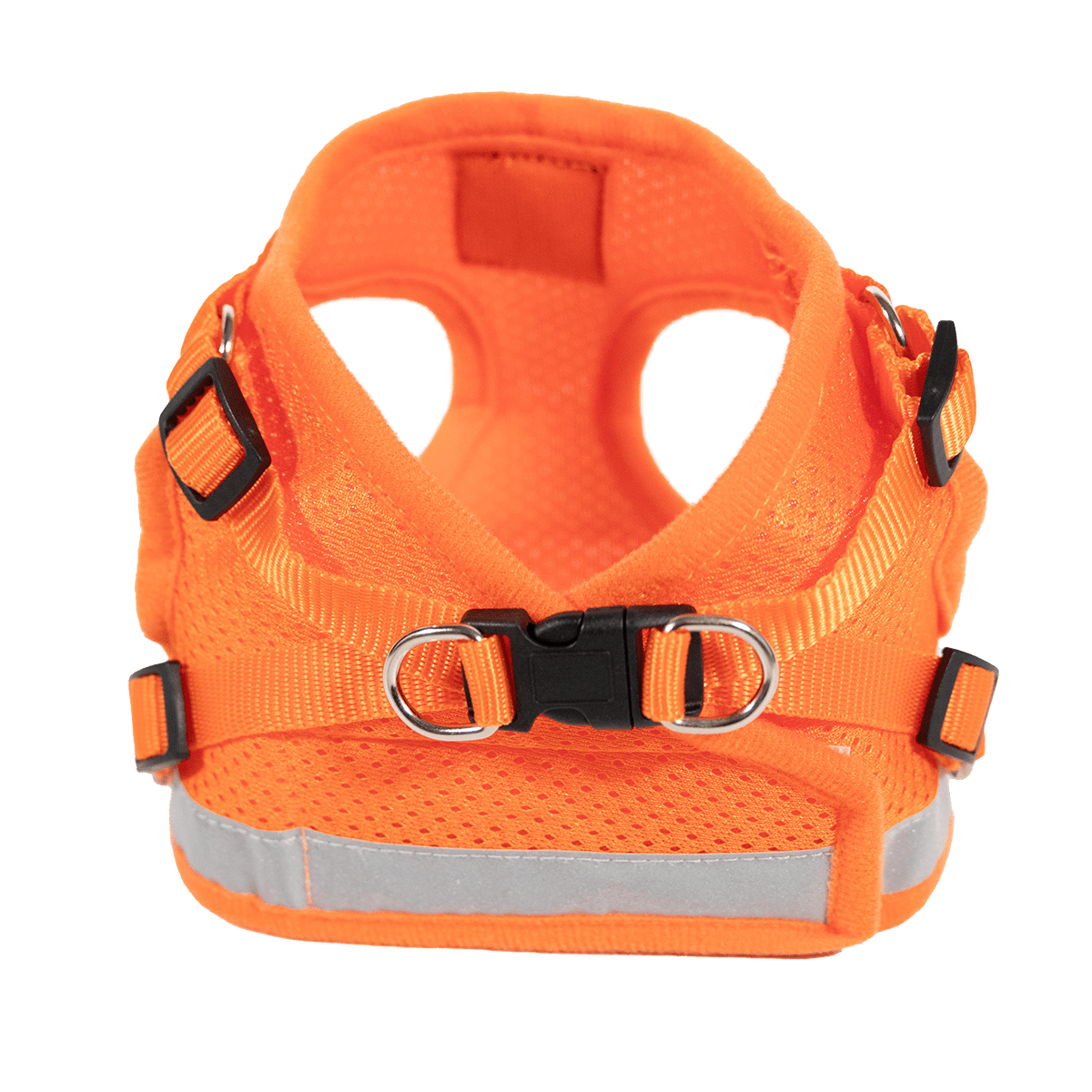 4ORANGEBACK_051909c2-cdc1-402c-8583-cfbc6a649b7a.png