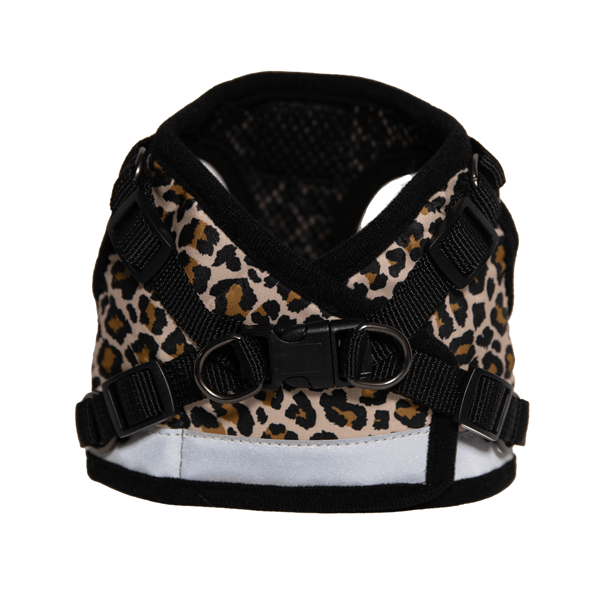 CHEETAHBACK_1.png