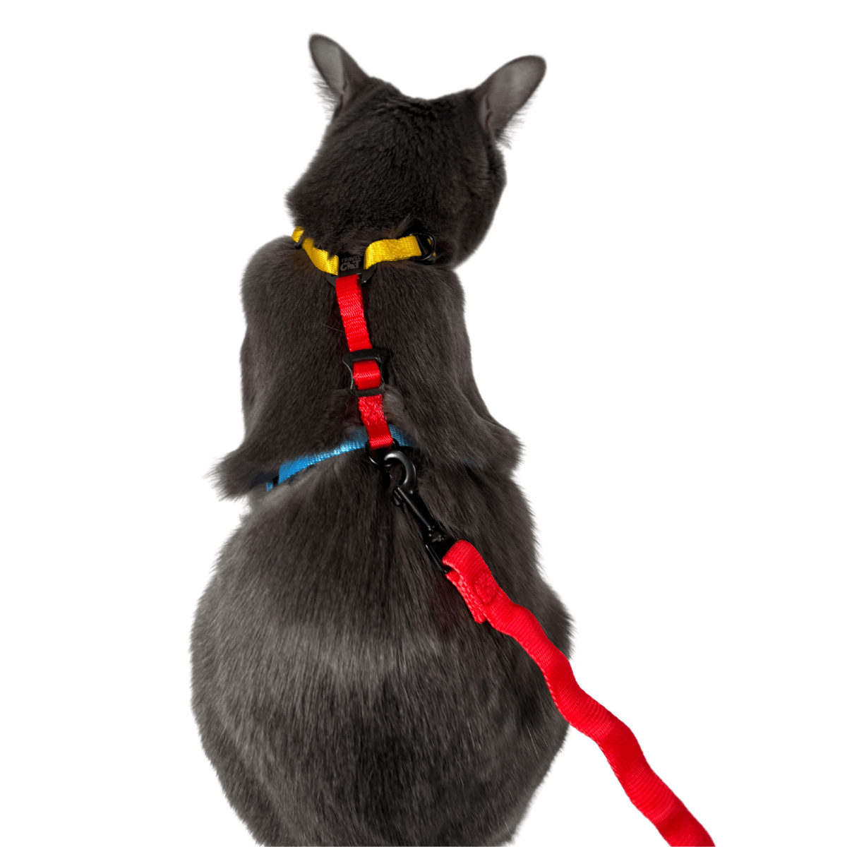 DAYTRIPPERCOLORBLOCK_865d405d-06ba-44c4-8a7e-9756502c42ca.png