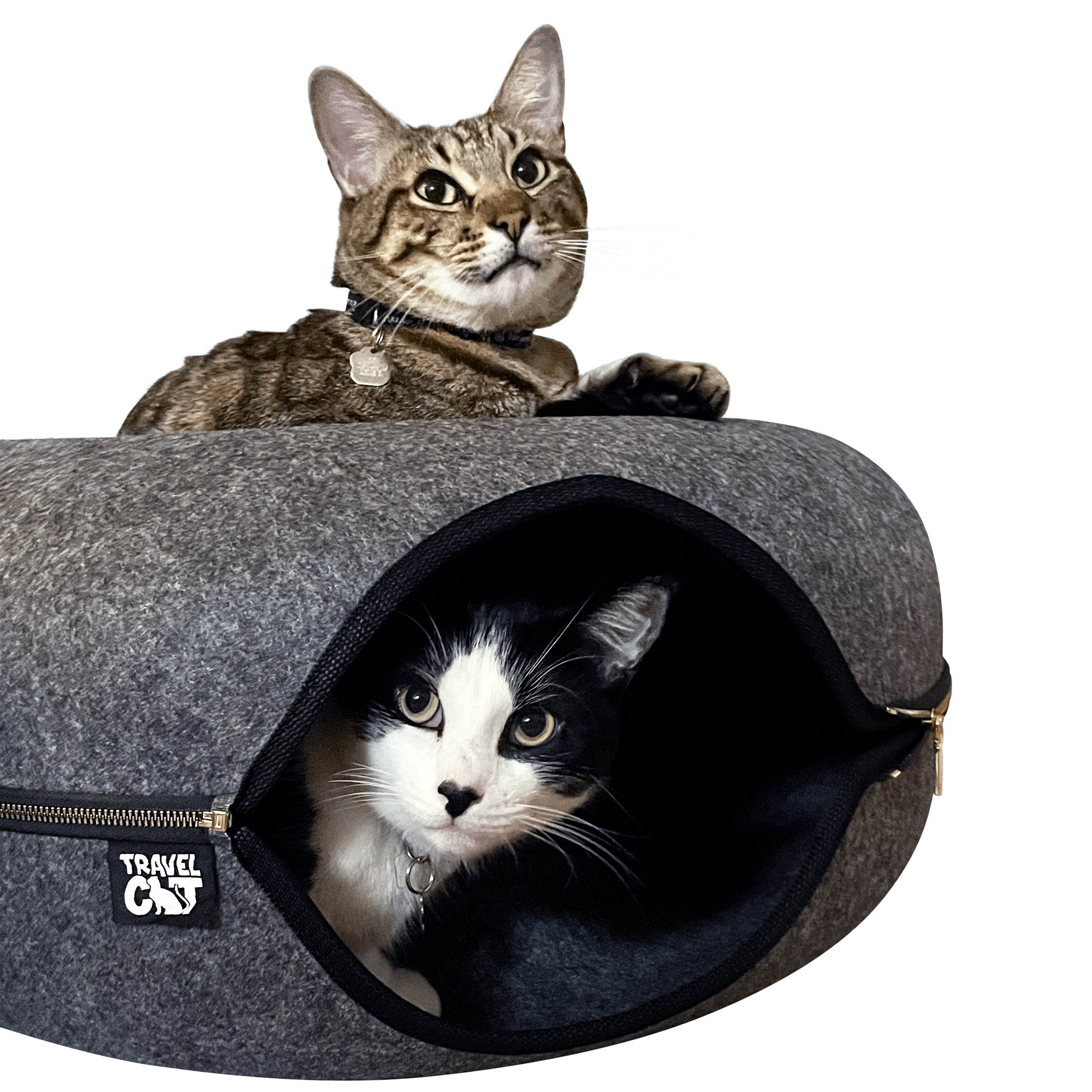 DONUT2CATS_dec0c156-51d8-441f-b4d2-937b521d2a6b.png