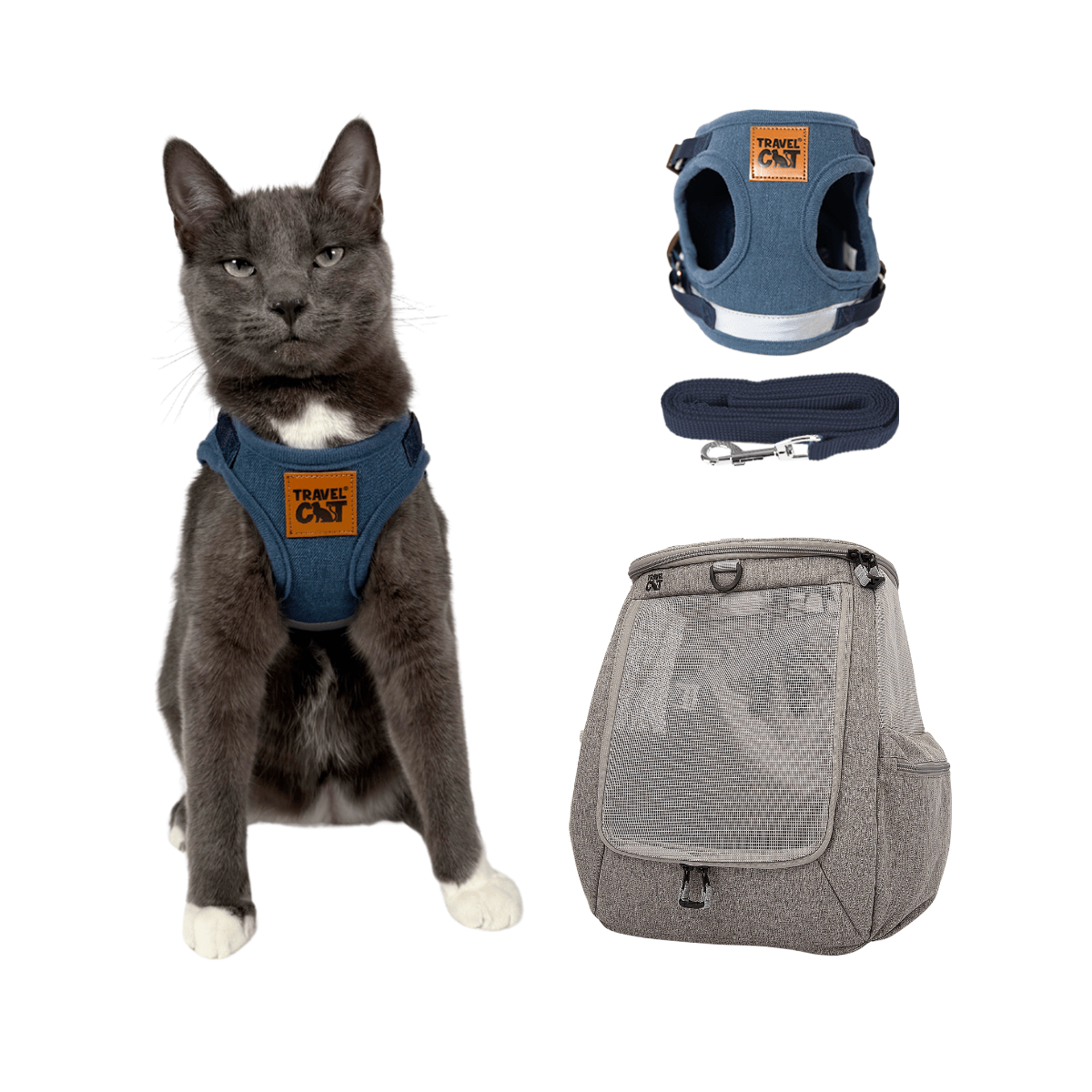 DenimDrifter_ab7e6c32-f516-4126-8c7a-f26ea9670b31.png