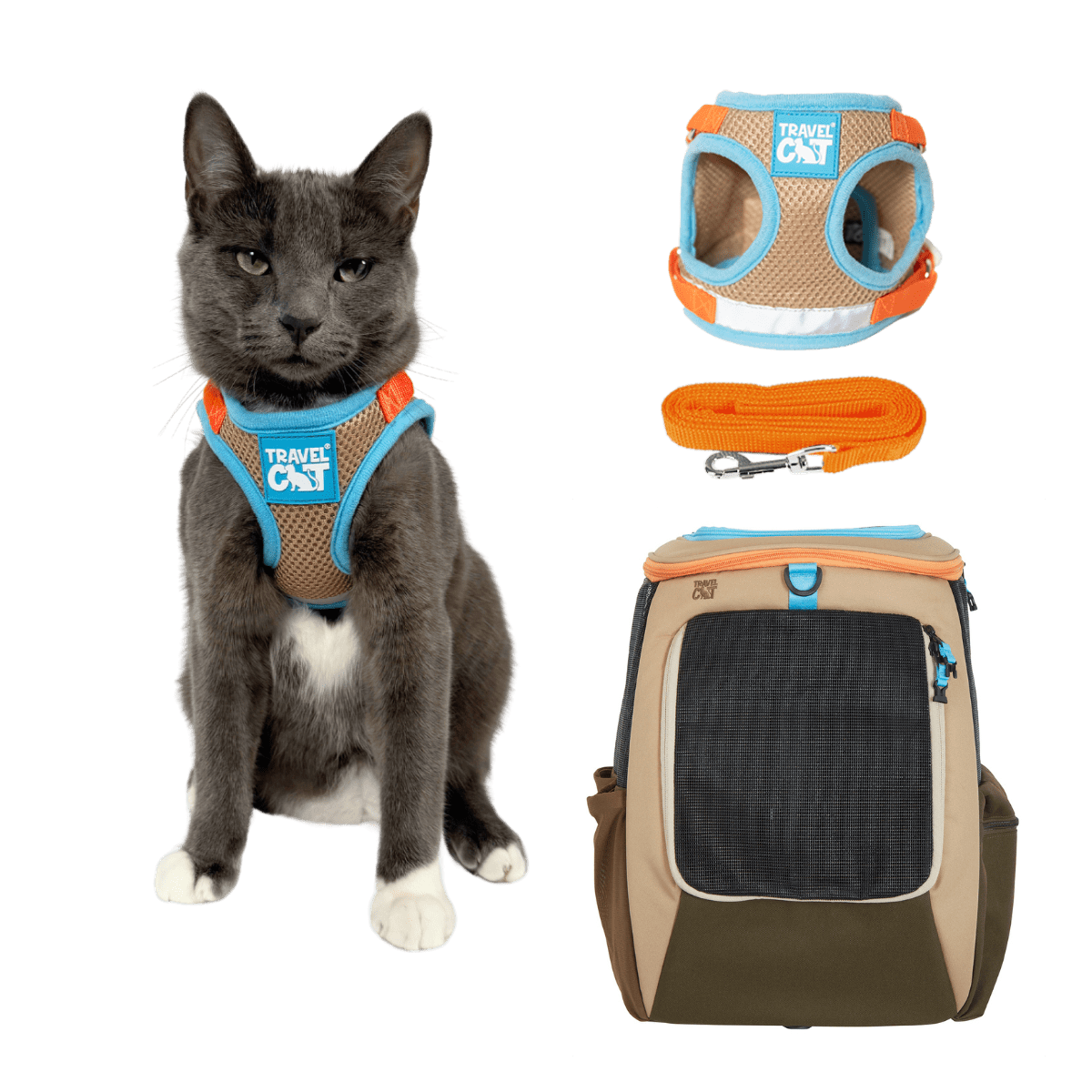 DesertSkyExplorer_f1e27b96-a1b6-458a-a024-f88ec1a9dd63.png