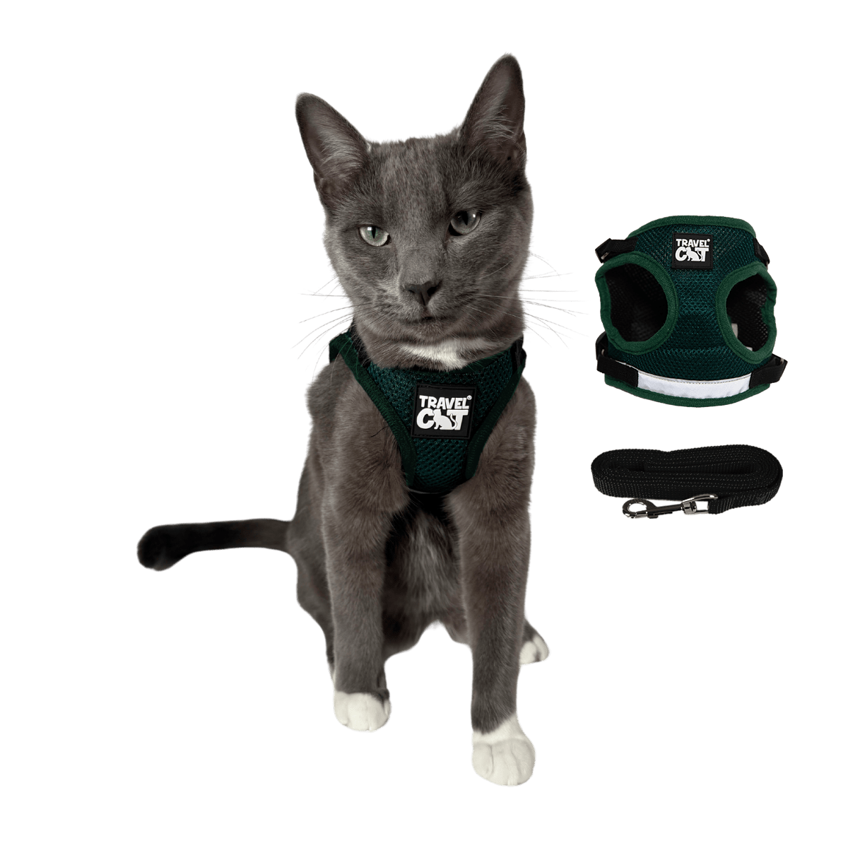 EMERALD_MAIN_94077fde-c20b-4522-8590-0456a7b28095.png
