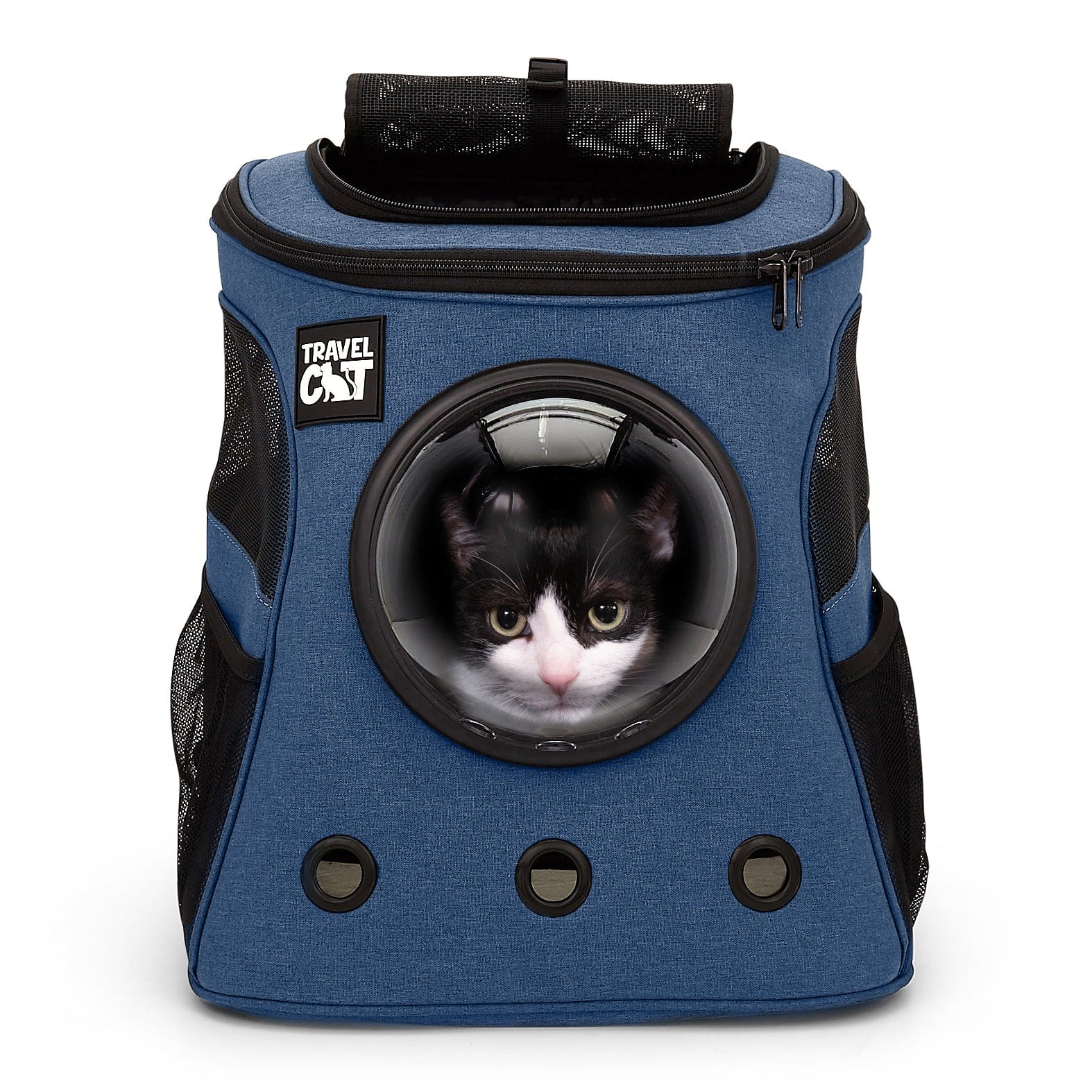 FatCatNavyChewy1_82da4322-f416-4015-82d4-b45d46e7adae.jpg