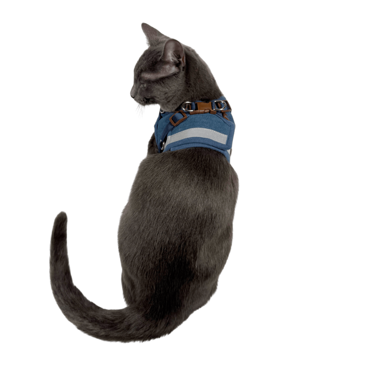 JEANBACK_d3e8280f-e68c-45e3-92e8-14d1866650a5.png