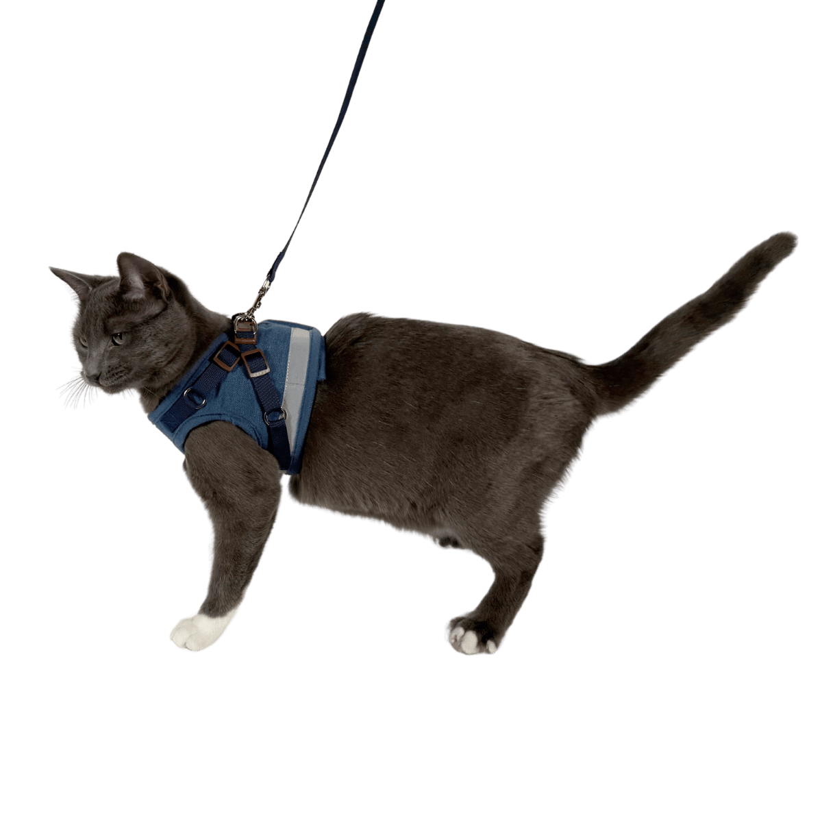JEANSTANDING_de72acfe-6faa-4a0d-b4fc-f7037fdb0711.png