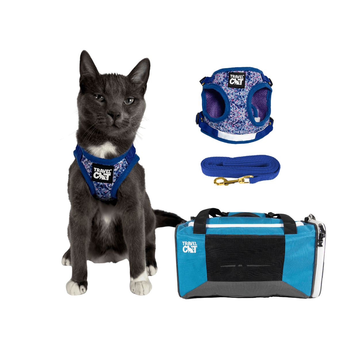 Meowgroovy_Moves_31740f1d-e4c6-403f-b5dc-b2c1d44b1309.png