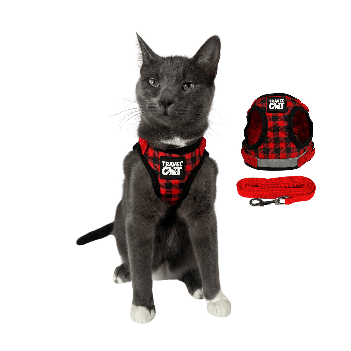 PLAID_MAIN_65452278-96e1-4728-b0ee-440a5b5dc23b.png