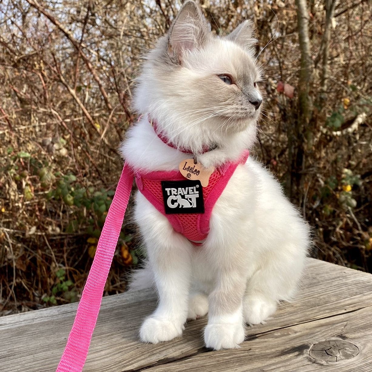 Pink_True_Adventure_Harness_1.jpg