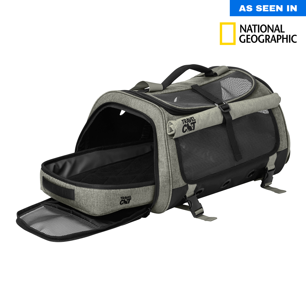 The_Transpurrter_1000x1000px_RS_b13ab202-e003-4138-be46-fa09a7d3f254.png