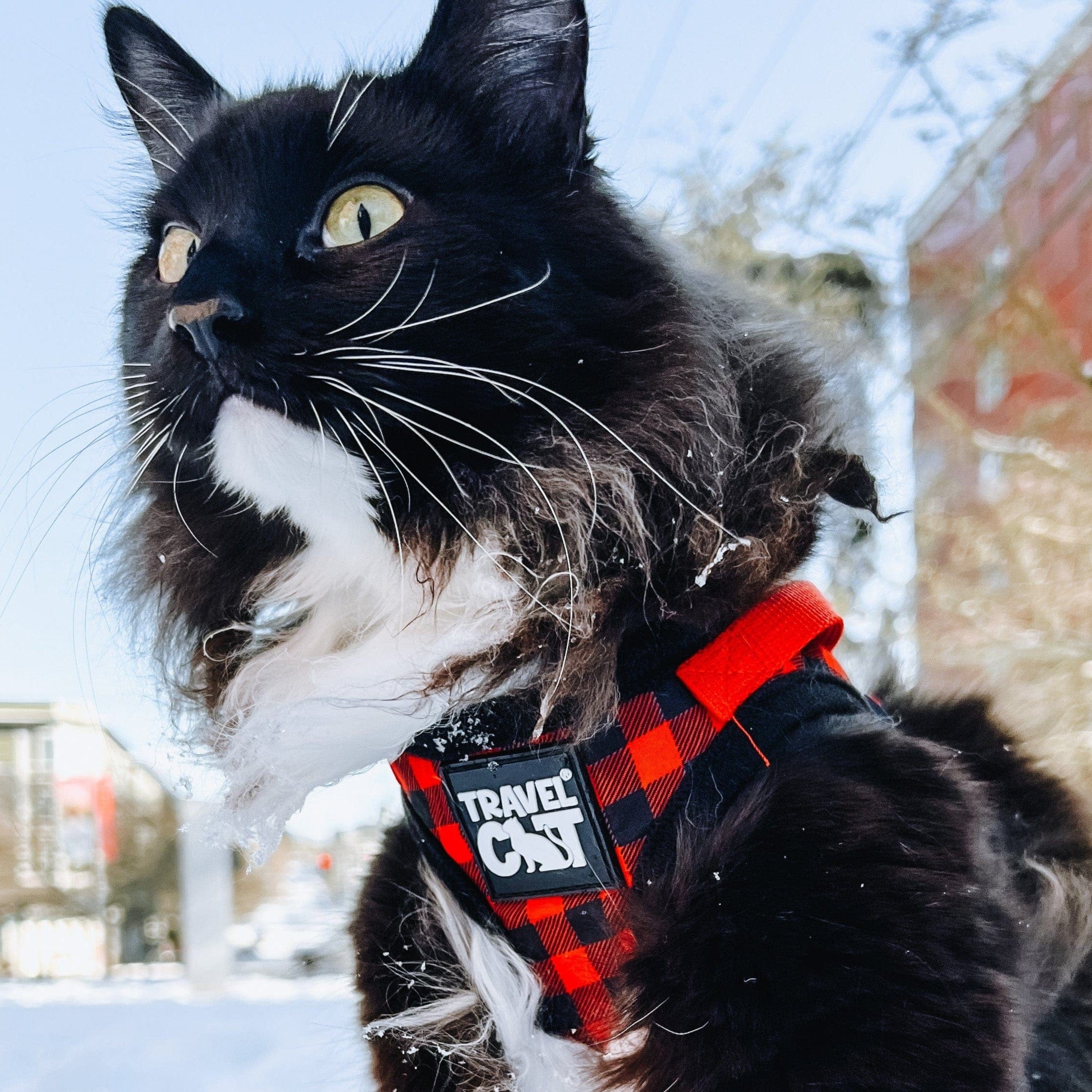 True_Adventurer_Chewy_Plaid_Close_Up_1.jpg