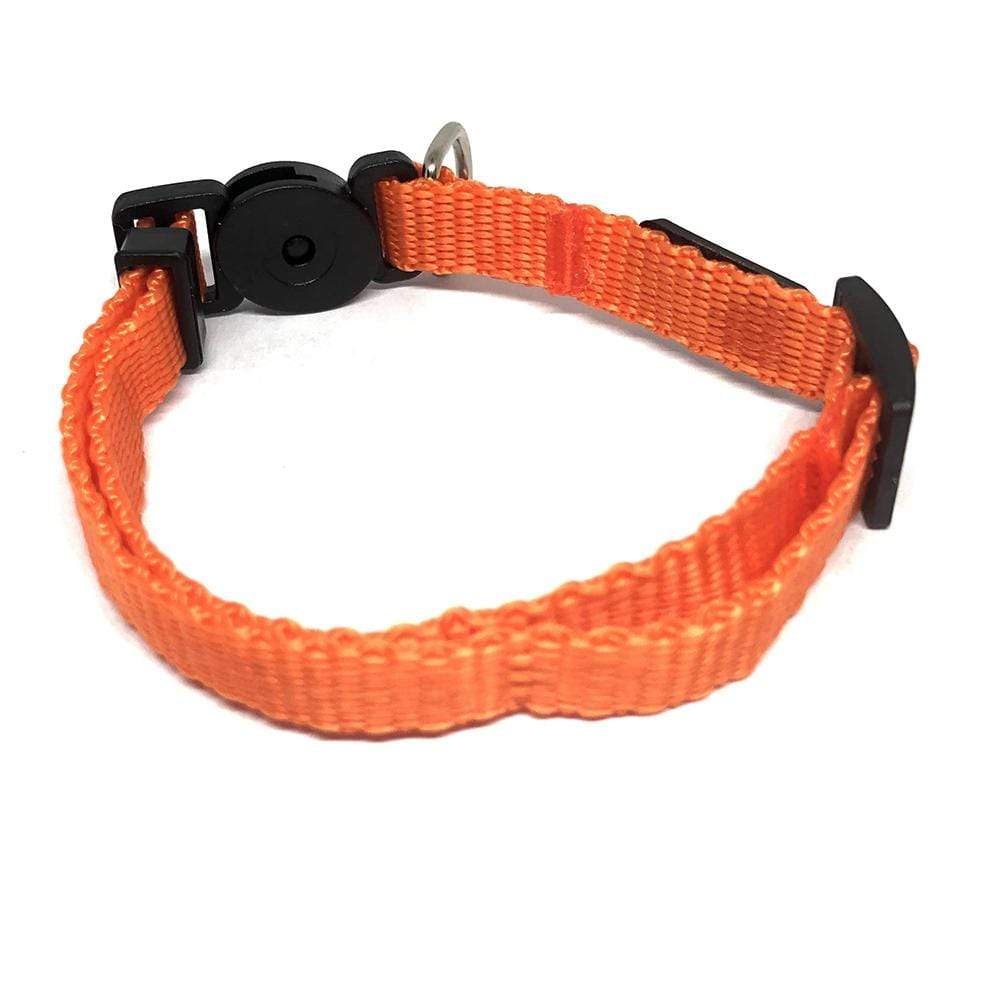 collar-2_2974c510-cc59-41fd-b36f-c4647147649f.jpg