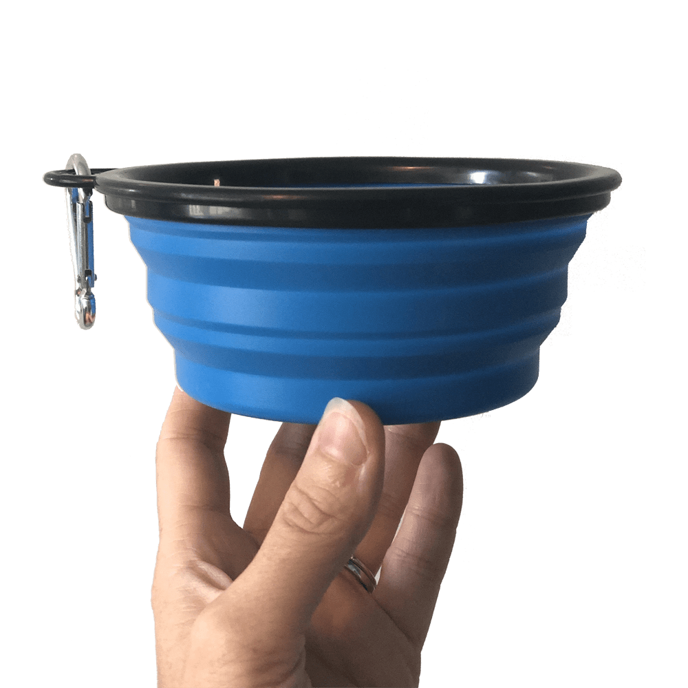 go_anywhere_bowl1.png