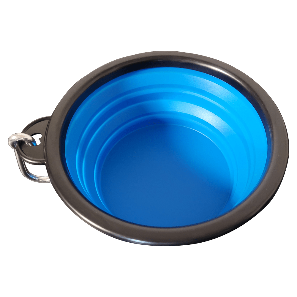 go_anywhere_bowl_3.png