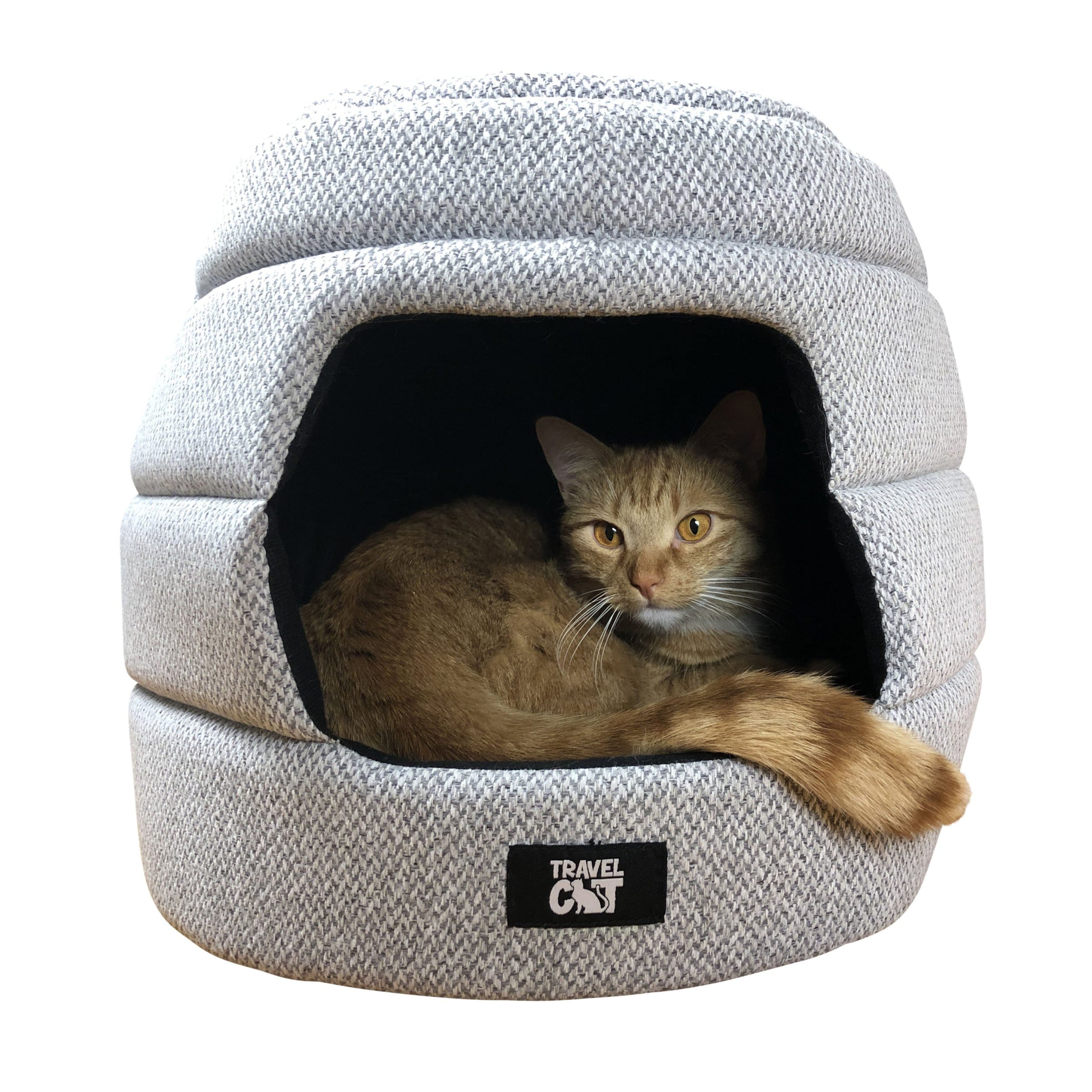 meowbilehomewilfieinside_a3a58eb7-6ba4-4f5a-be6e-57edf25c2462.jpg