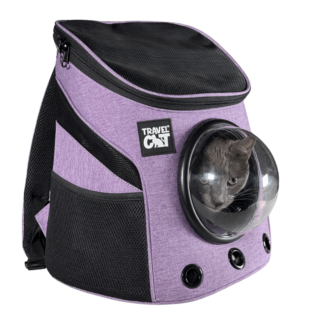 minipurple_b026f893-31a6-44b1-84a1-0109197abd40.png